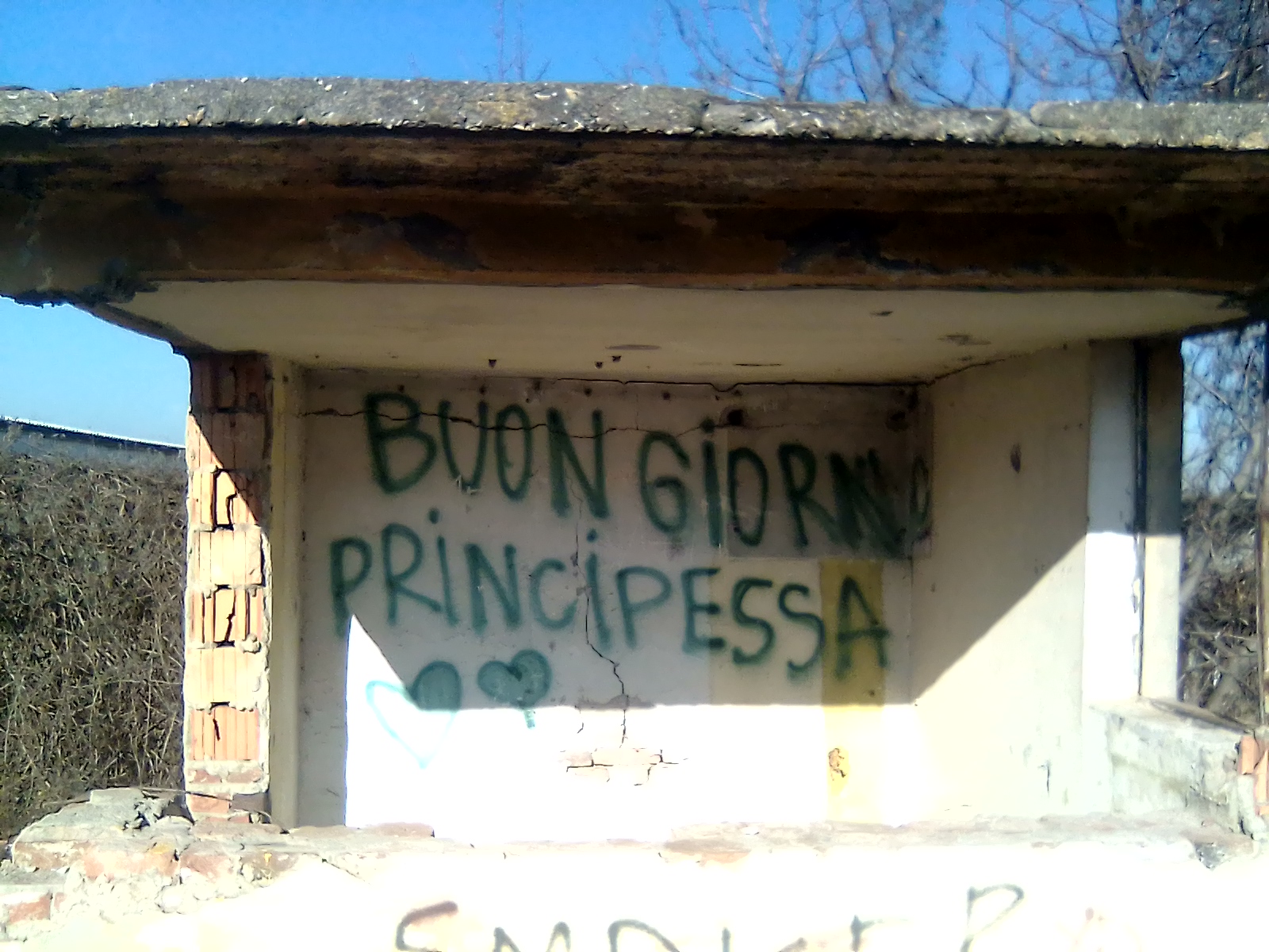 Biongorno principessa