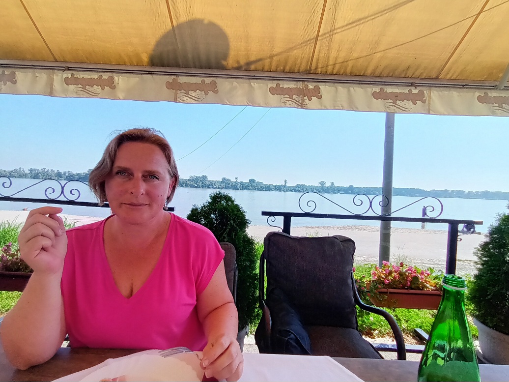 The Danube vain of Europa