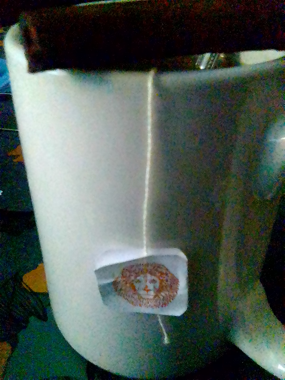 Lion tea